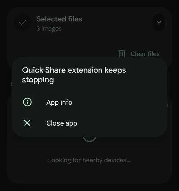 Quick Share extension crashing error