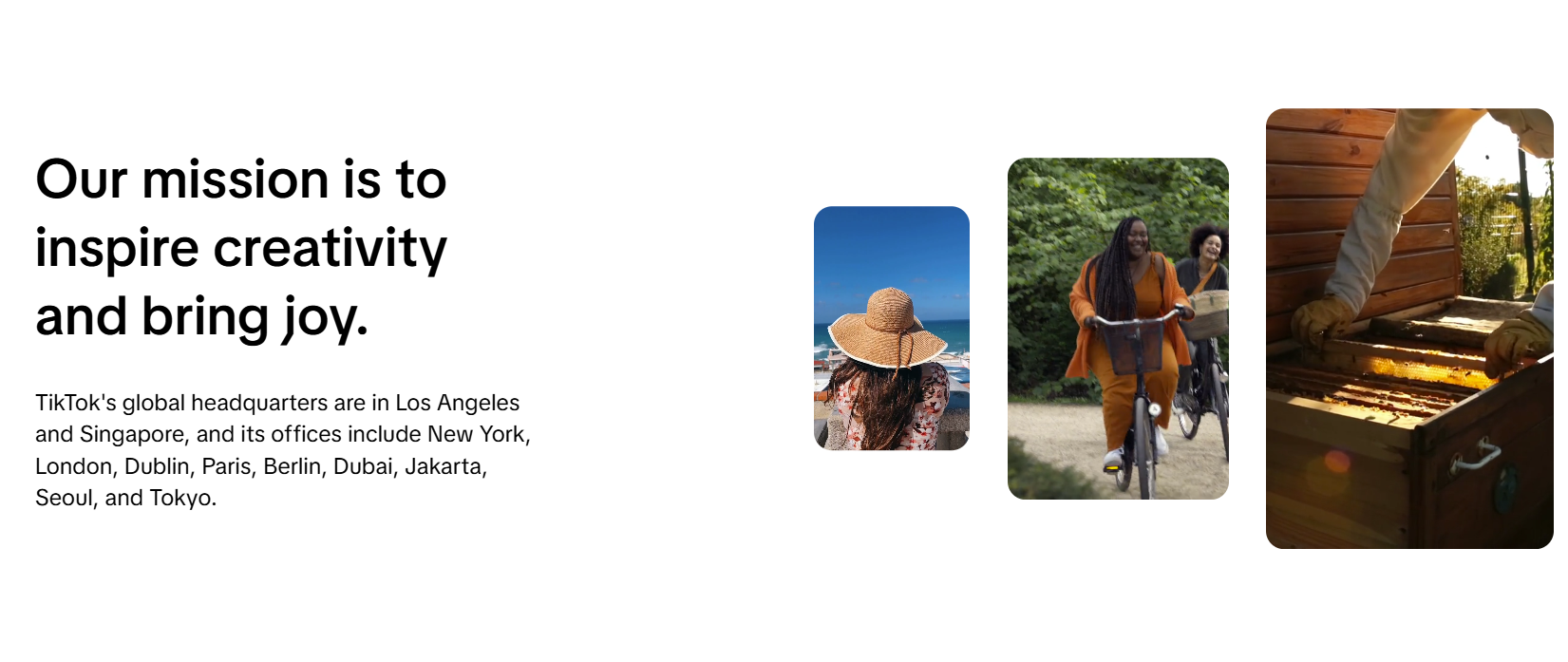 Screenshot of TikTok&amp;#039;s website.