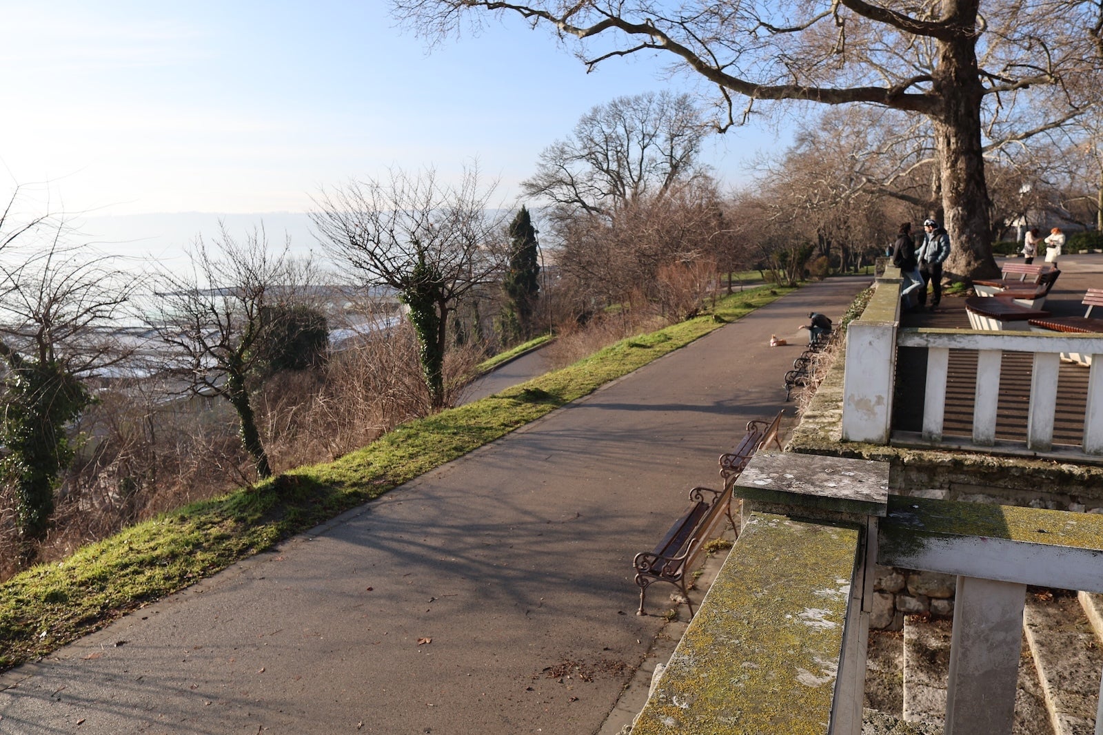 Canon R6 II - I compared the iPhone 17 Pro camera to a real camera — here's what I found