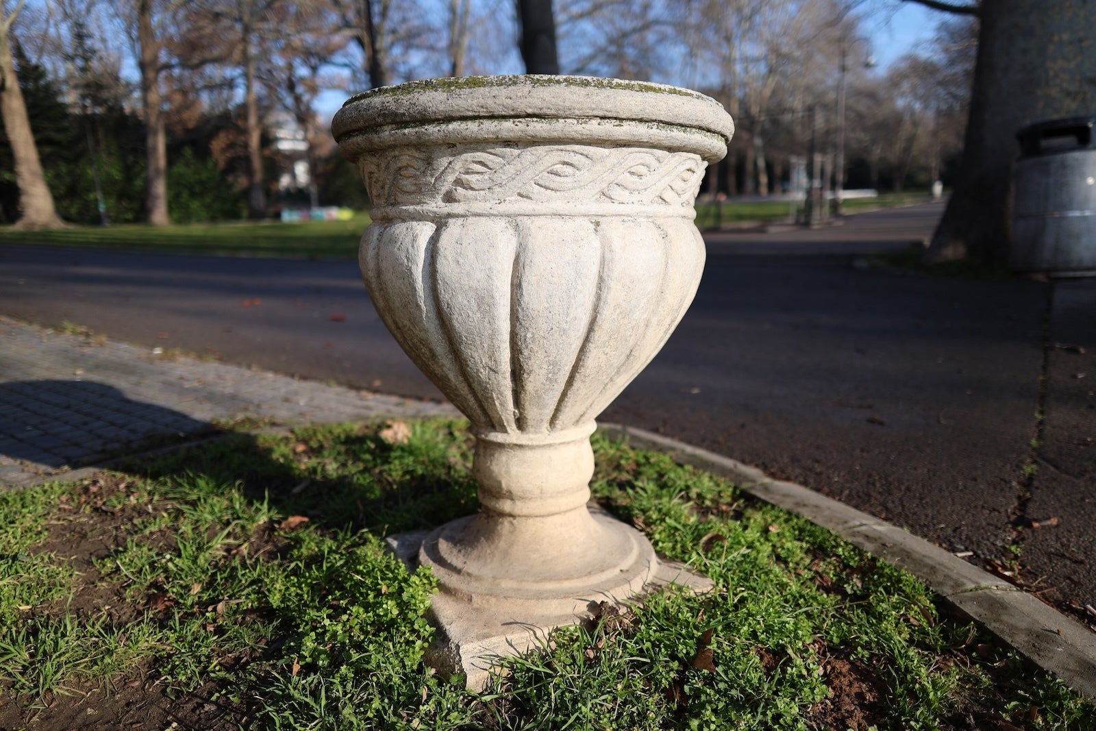 Canon R6 II - I compared the iPhone 17 Pro camera to a real camera — here's what I found