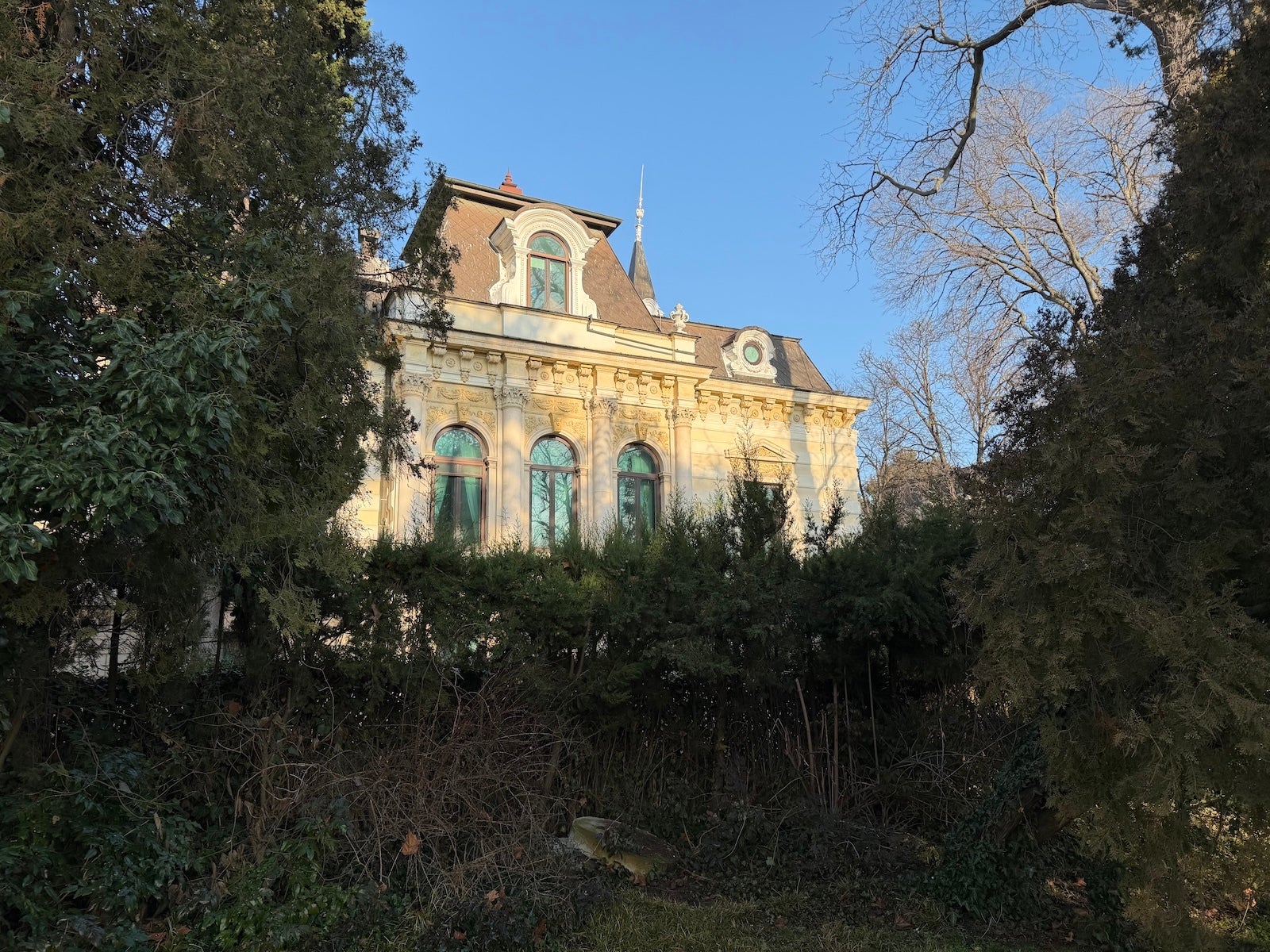 iPhone 17 Pro - I compared the iPhone 17 Pro camera to a real camera — here's what I found