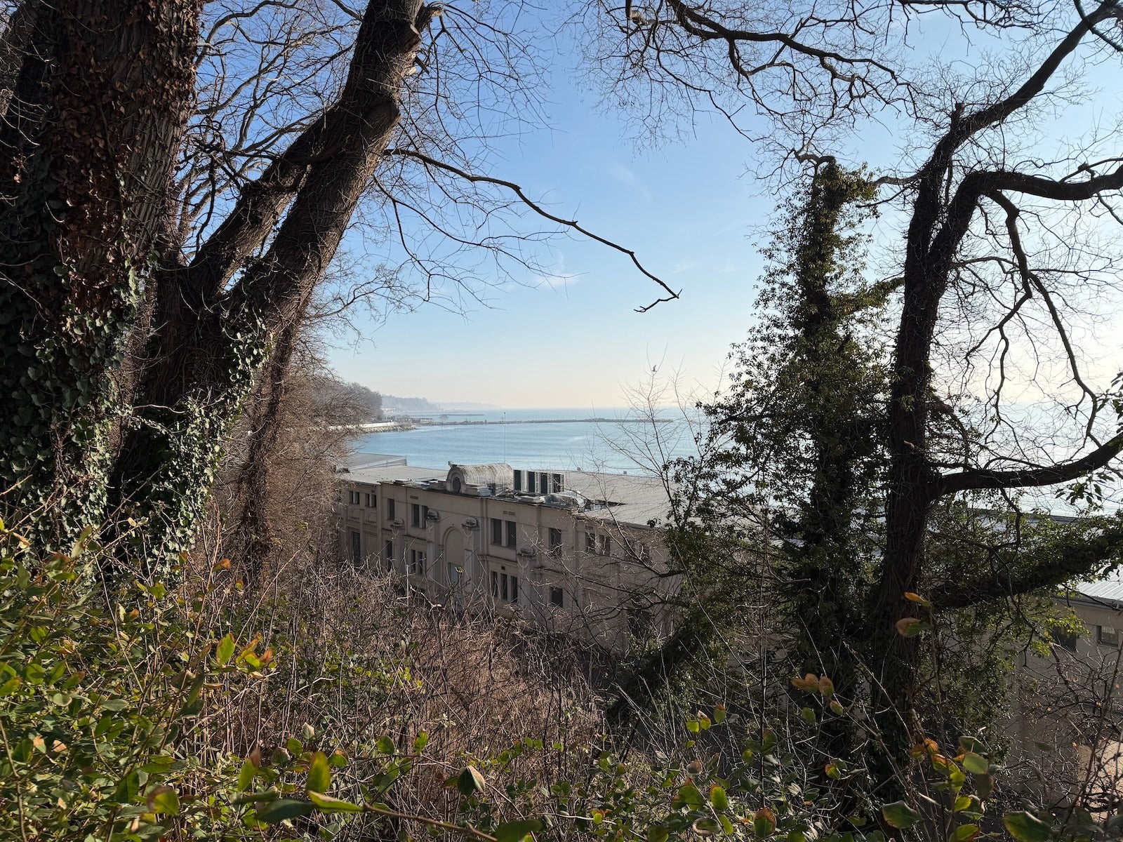 iPhone 17 Pro - I compared the iPhone 17 Pro camera to a real camera — here's what I found