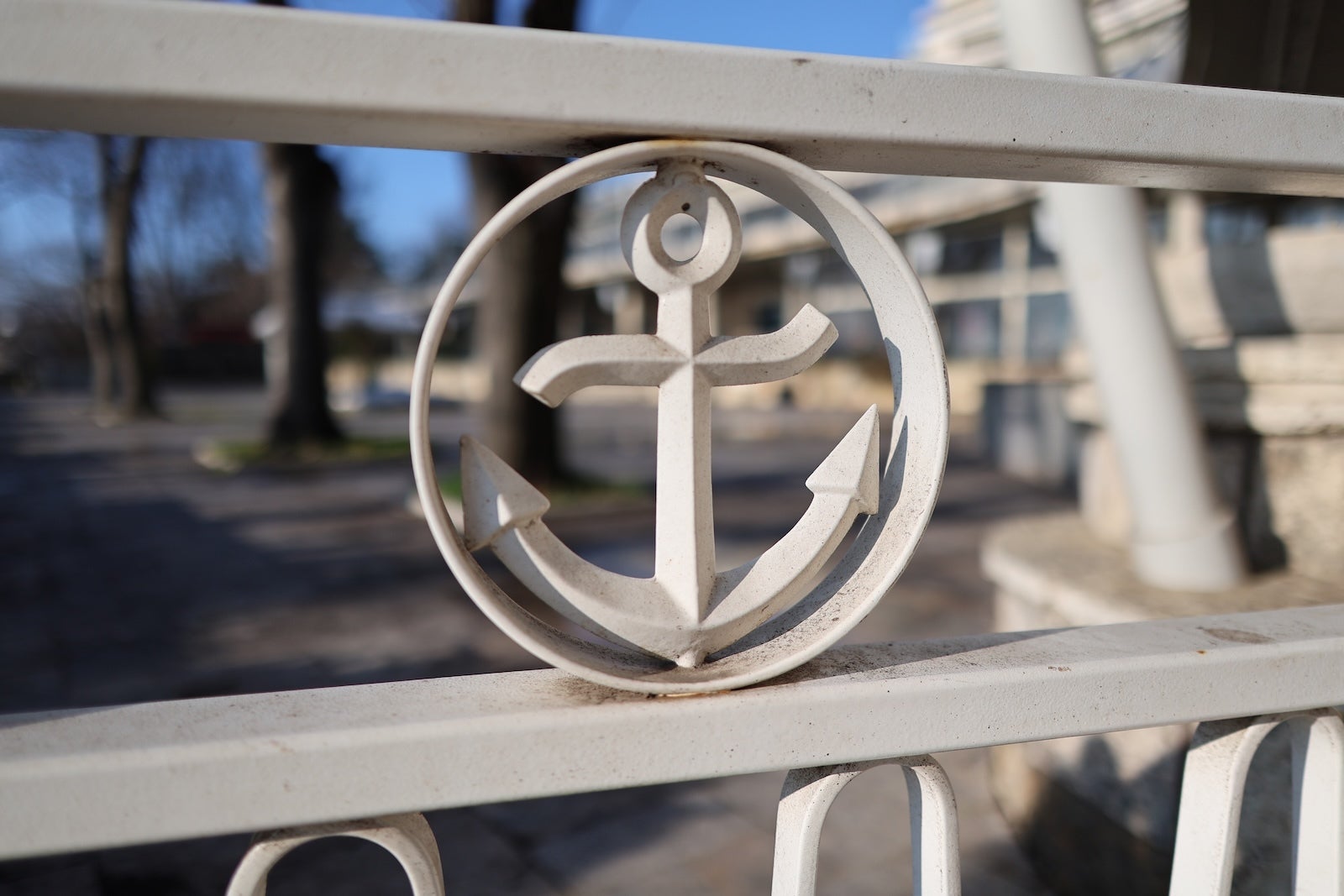 Canon R6 II - I tested the Pixel 10 Pro XL camera against a full-frame Canon