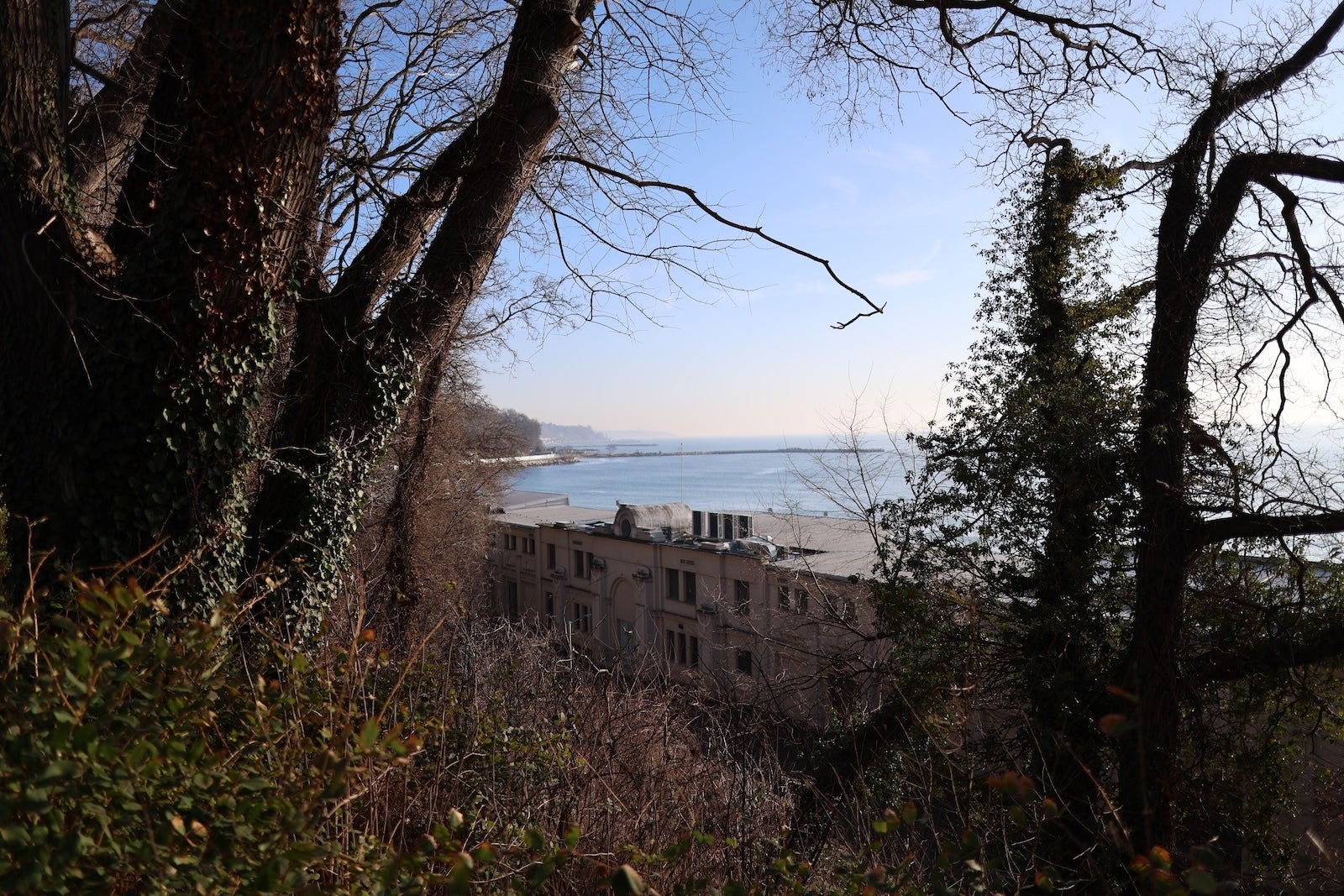 Canon R6 II - I tested the Pixel 10 Pro XL camera against a full-frame Canon