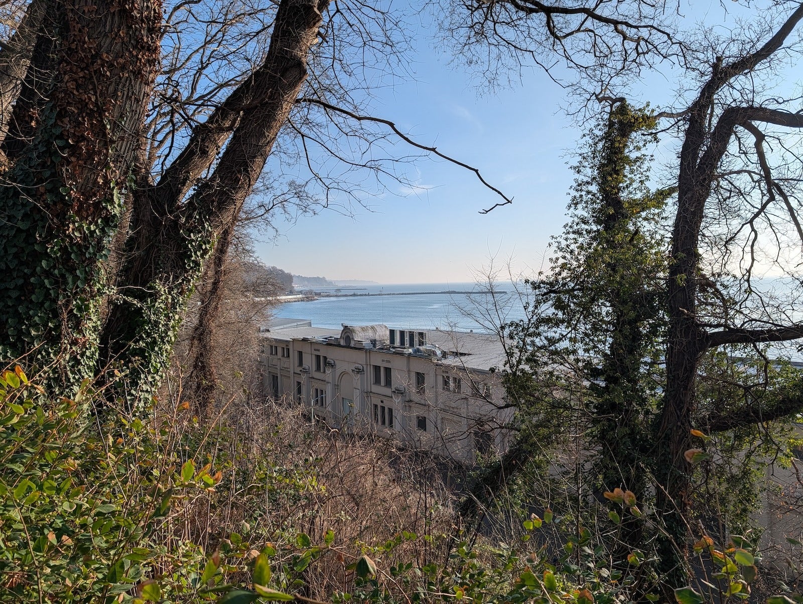 Pixel 10 Pro XL - I tested the Pixel 10 Pro XL camera against a full-frame Canon