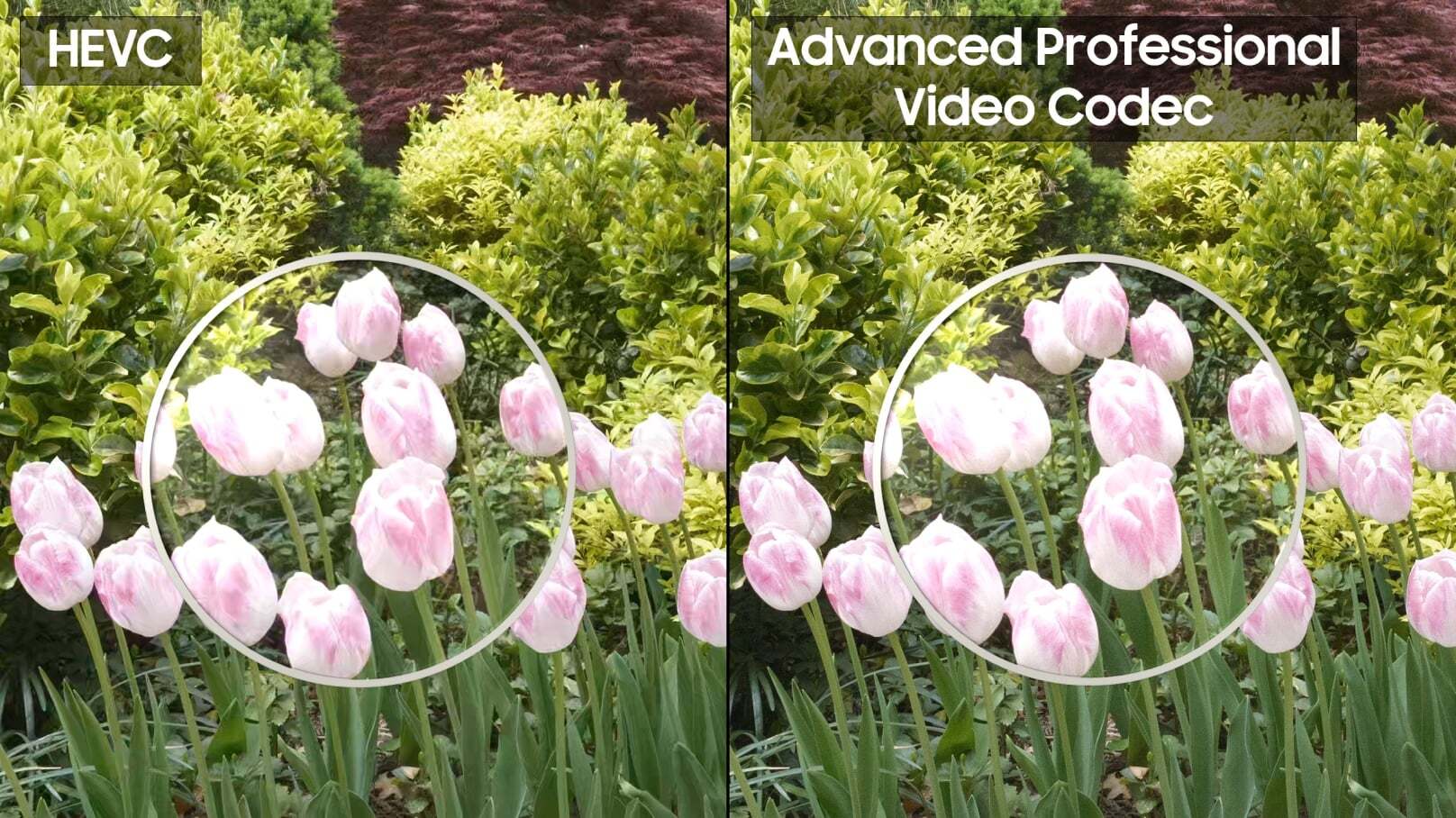 The difference between HEVC and APV | Image by Samsung - Galaxy S26 Secret Weapon: Is the new APV codec faster and better than Apple ProRes?