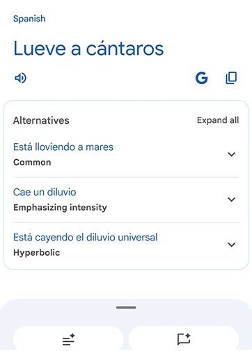 Screenshot shows one new feature for the Google Translate app.