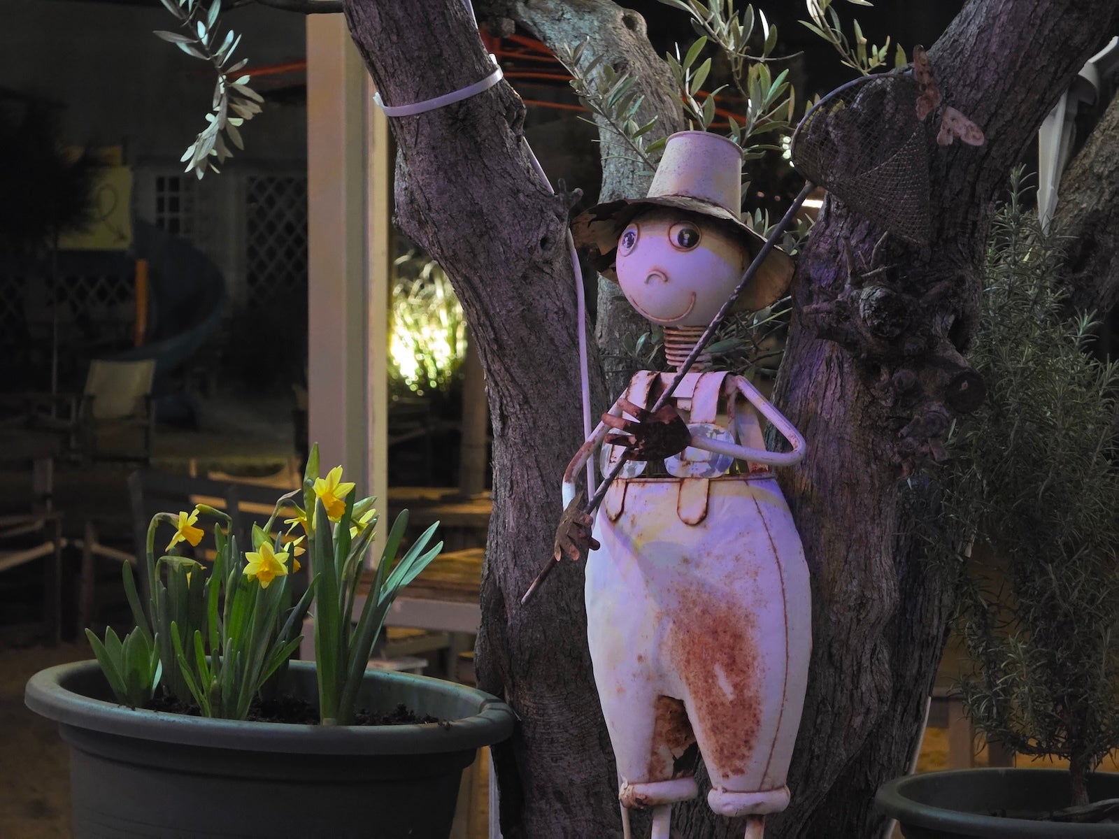 Galaxy 5X - Samsung Galaxy S26 Ultra vs iPhone 17 Pro Max: Sample Photos Comparison