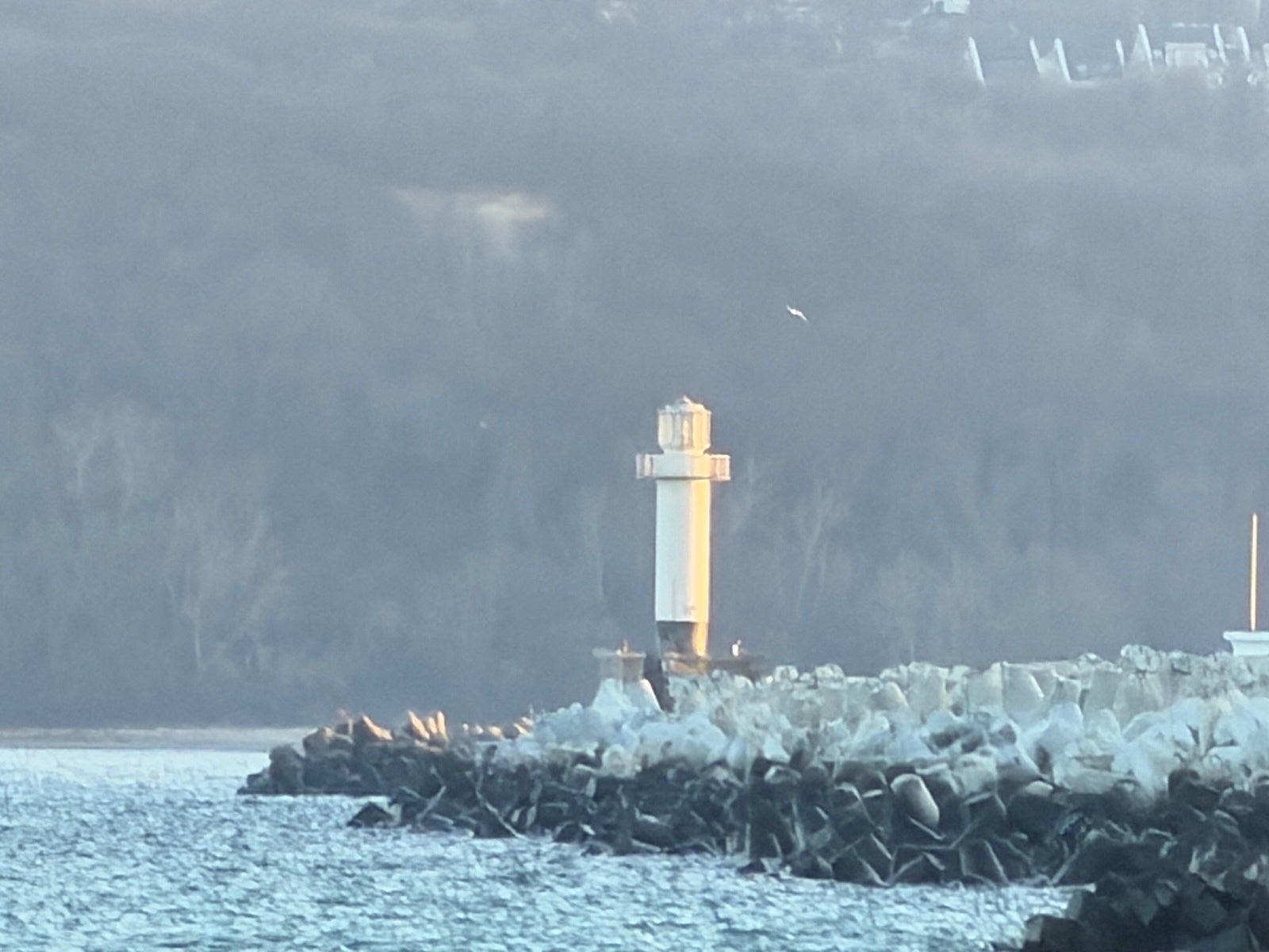 iPhone 30X - Samsung Galaxy S26 Ultra vs iPhone 17 Pro Max: Sample Photos Comparison