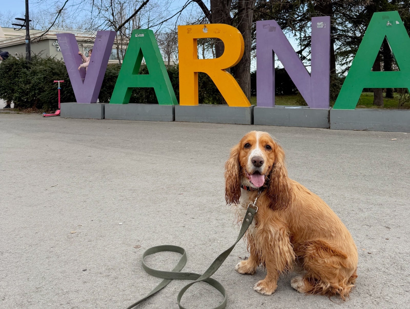 Original photo - After a week with the S26 Ultra, I’m convinced: AI photo styles aren't a gimmick anymore