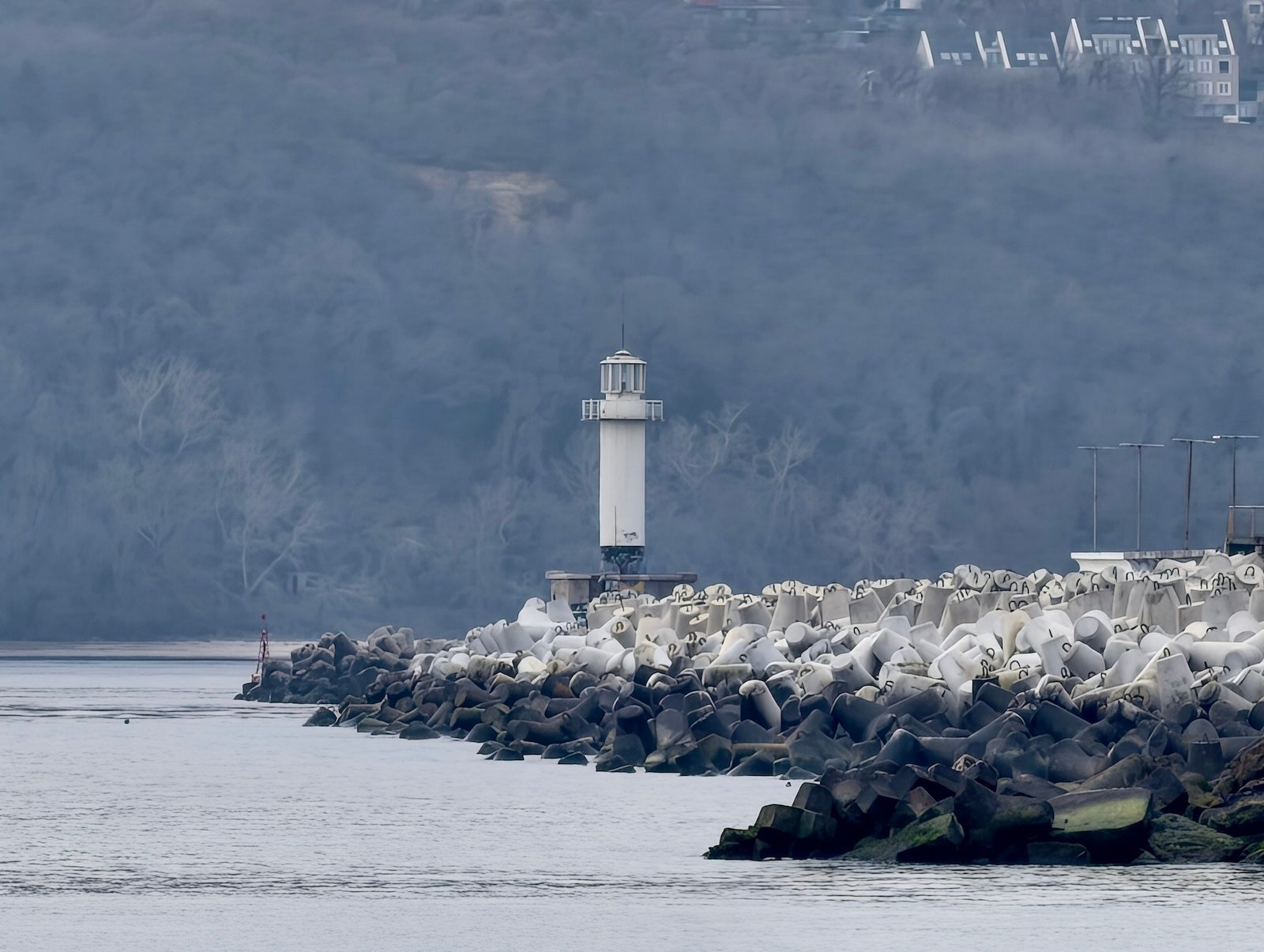 Vivo - Samsung Galaxy S26 Ultra vs Vivo X300 Pro: Sample Photos Comparison