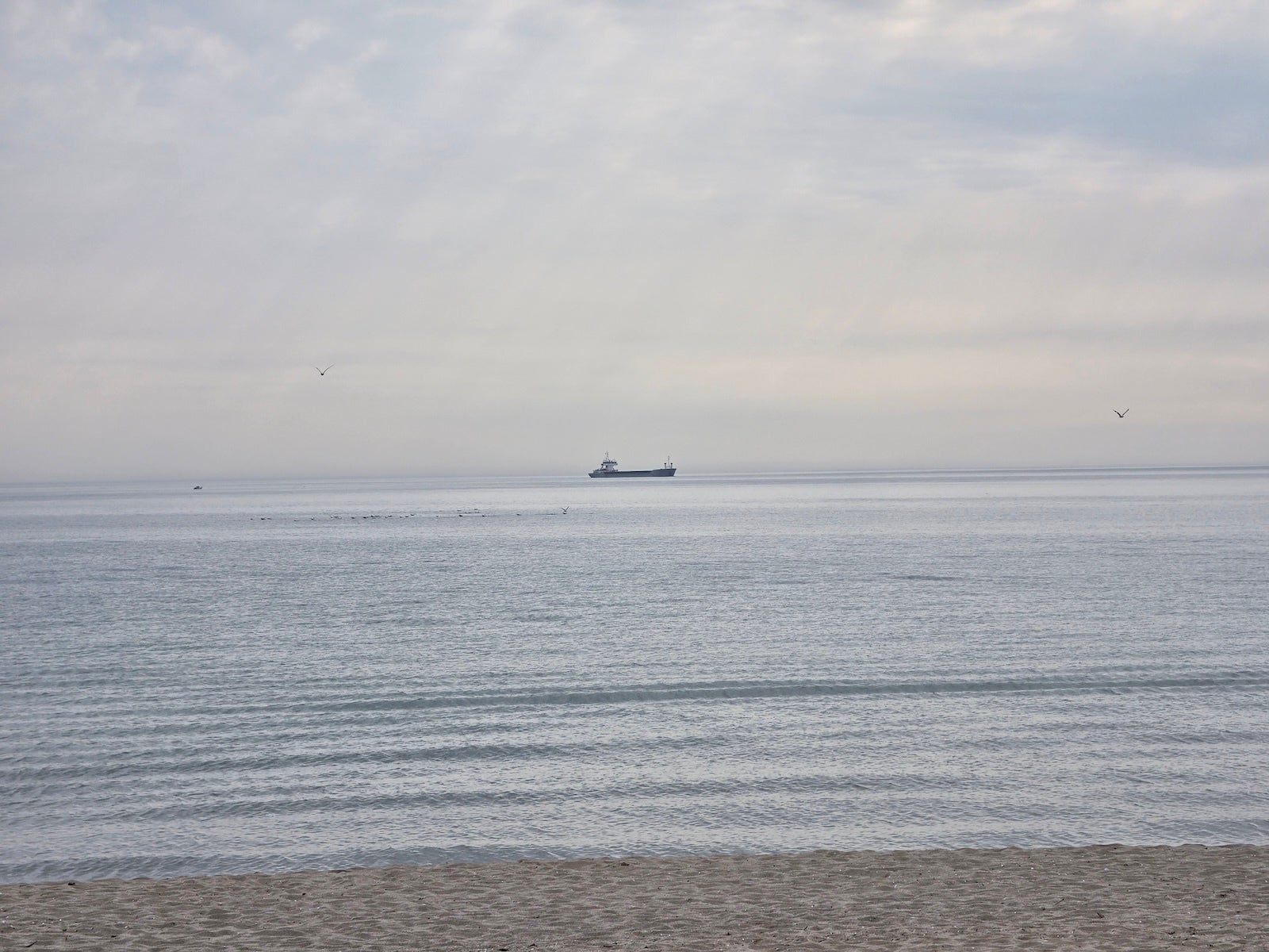 Galaxy 5X - Samsung Galaxy S26 Ultra vs Honor Magic 8 Pro: Sample Photos Comparison