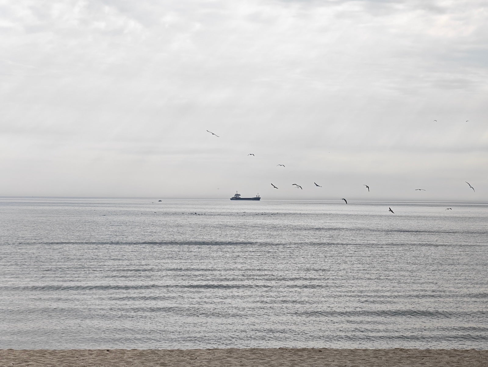 Honor 5X - Samsung Galaxy S26 Ultra vs Honor Magic 8 Pro: Sample Photos Comparison