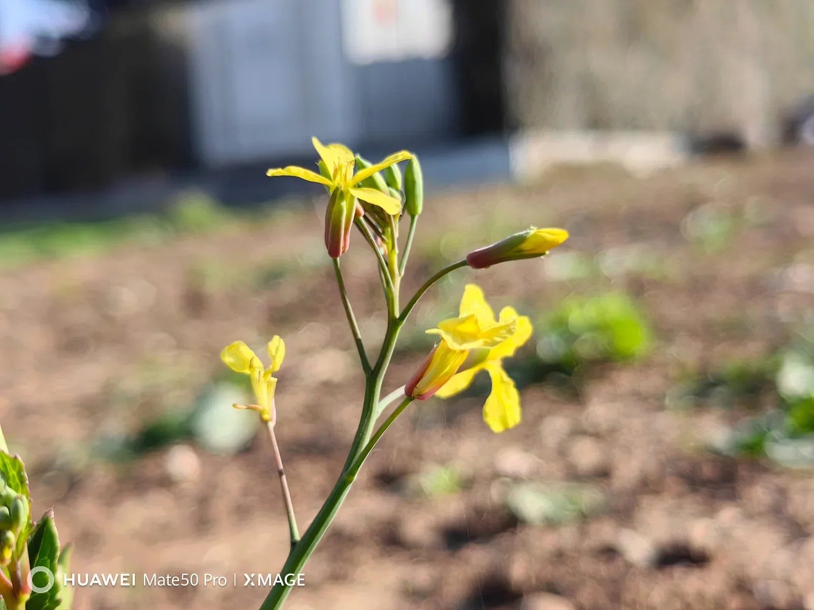 f/1.4 - The 'Mechanical Eye': Why the iPhone 18 Pro will ruin older smartphone cameras for you