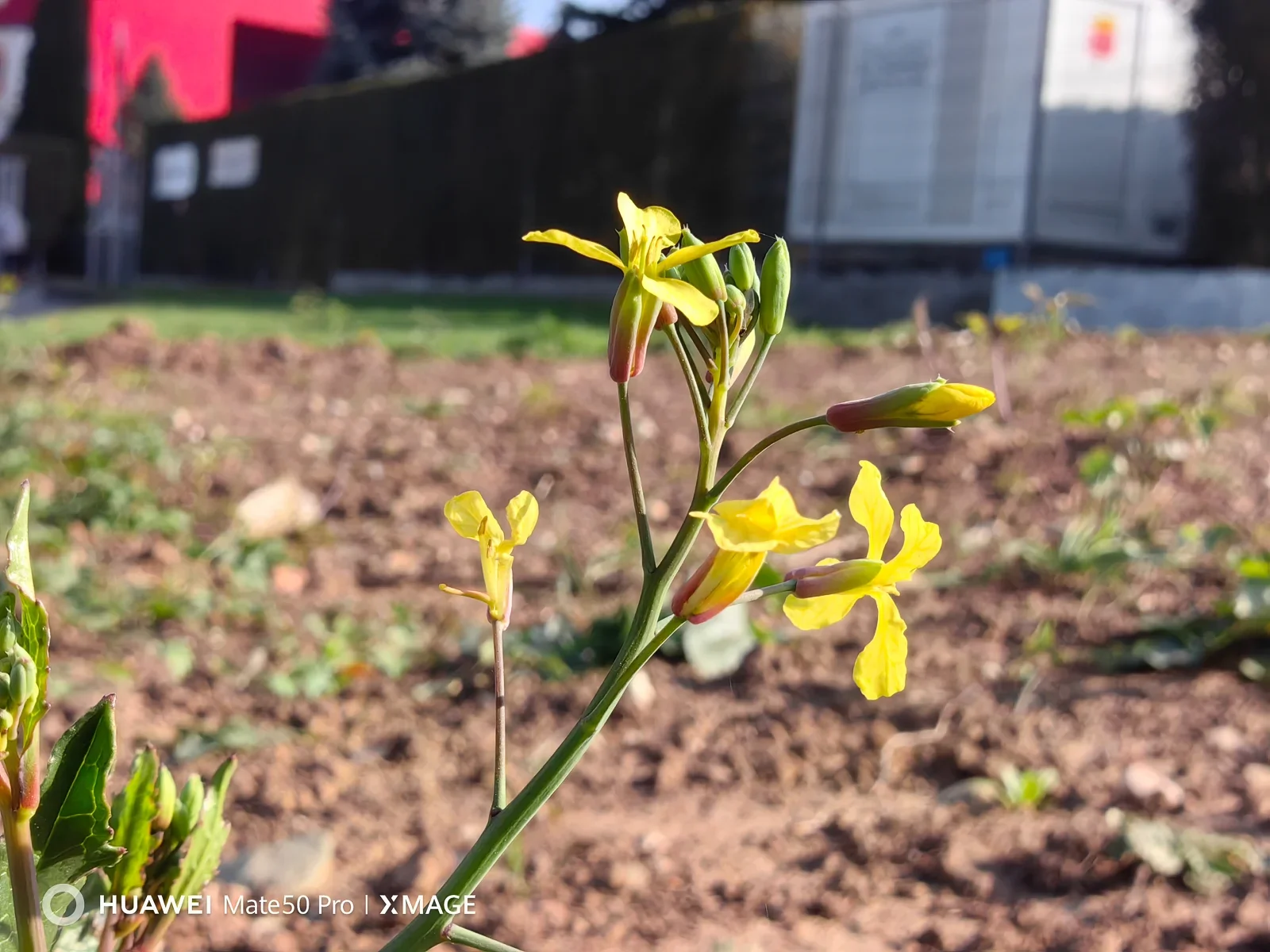 f/4.0 - The 'Mechanical Eye': Why the iPhone 18 Pro will ruin older smartphone cameras for you