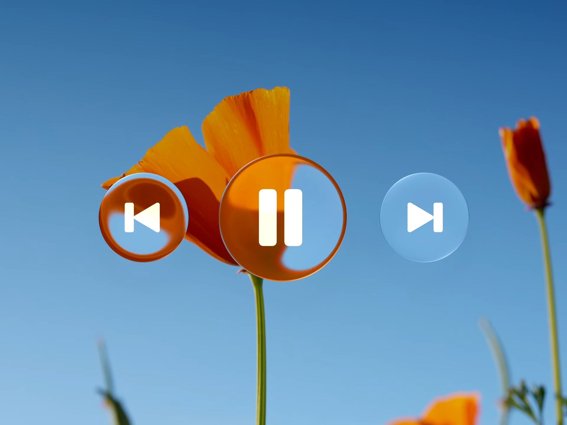 Liquid Glass on Apple iOS 26