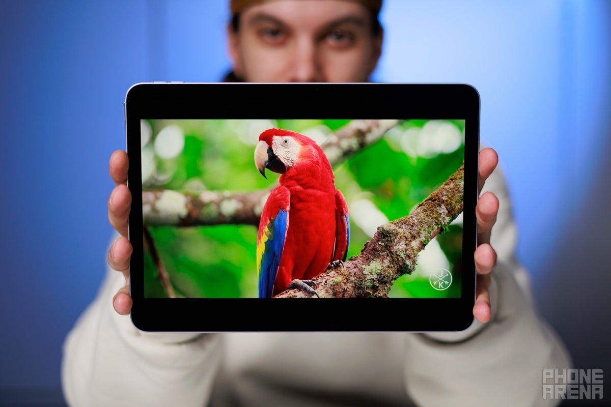 Apple iPad Air 11-inch (M3) display