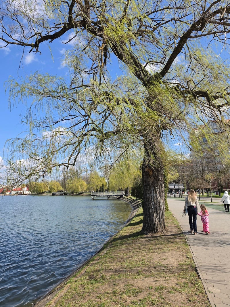I shot an entire weekend trip using only the Galaxy S26 Ultra camera, here are the results