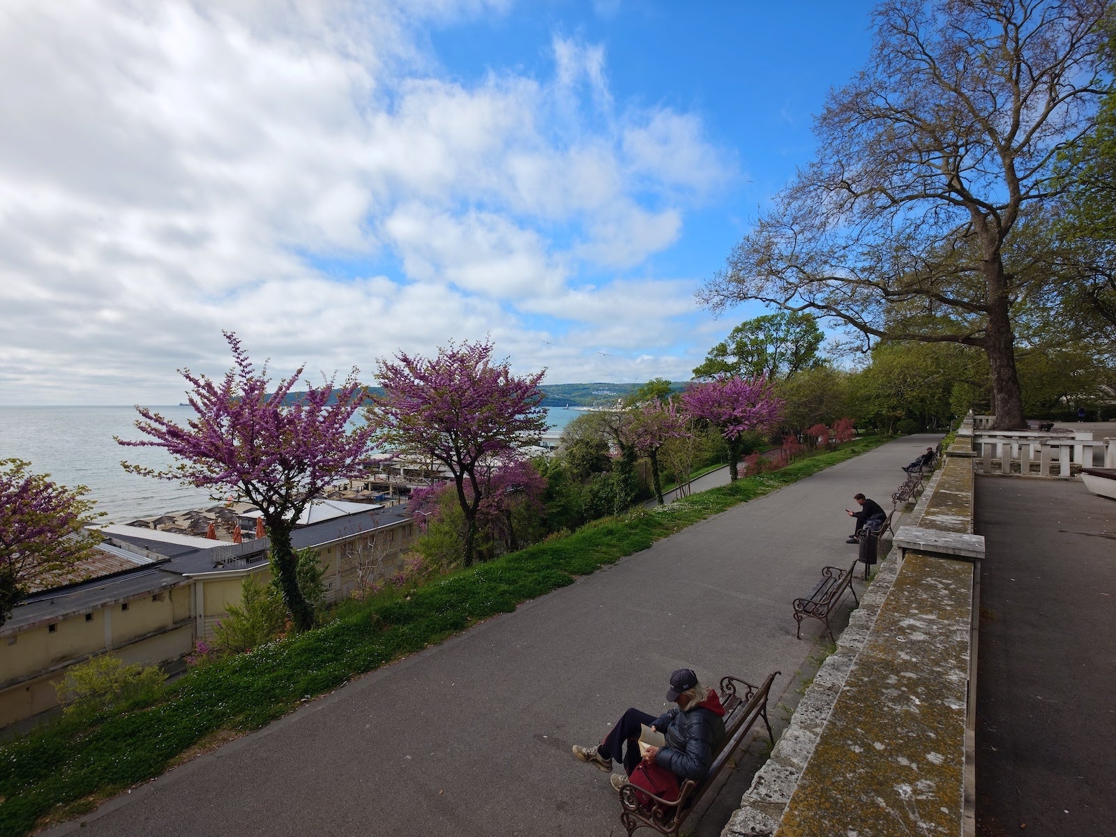 Sony Xperia 1 VIII - Sony Xperia 1 VIII vs iPhone 17 Pro: Sample Photos Comparison