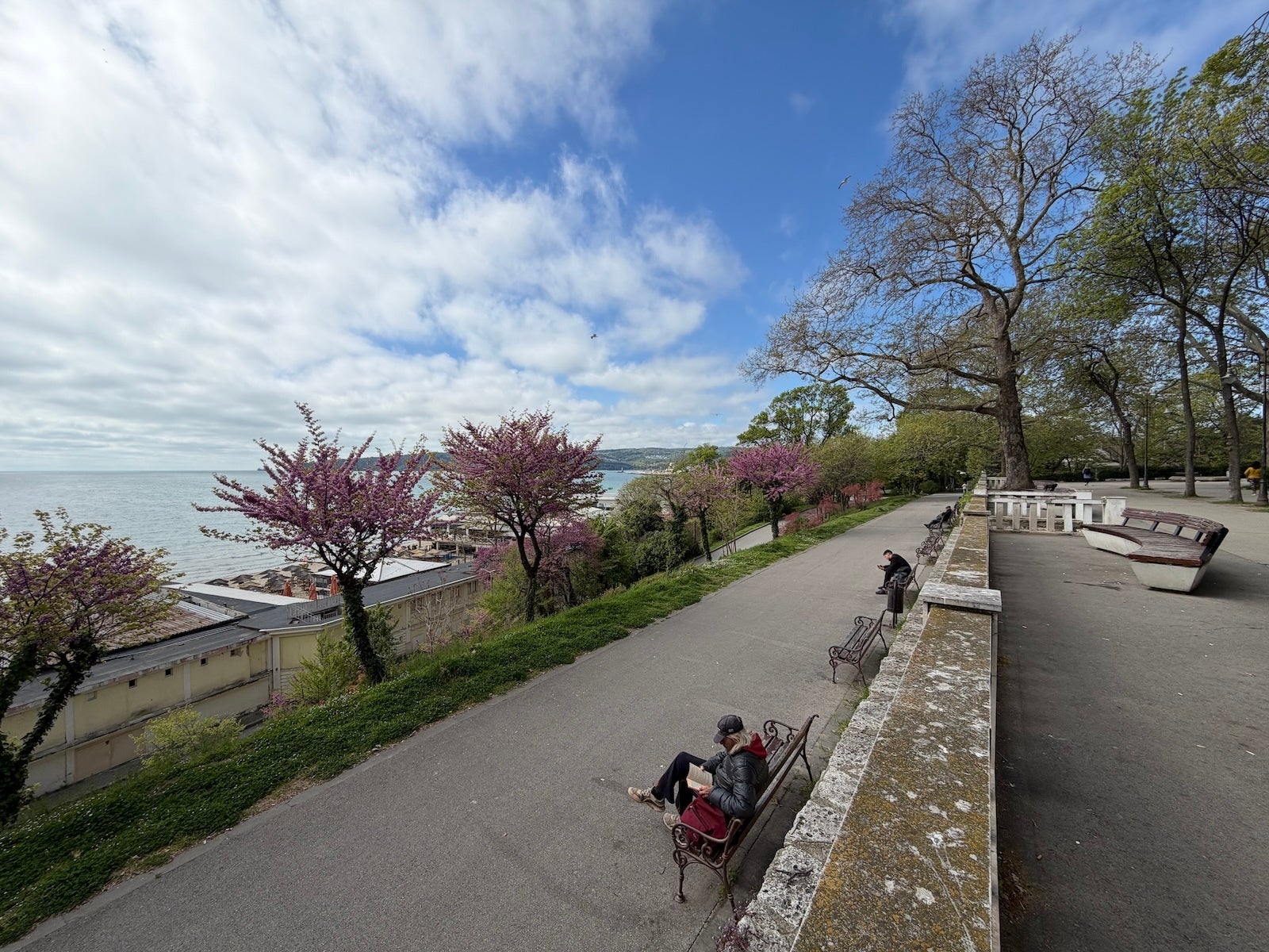 iPhone 17 Pro - Sony Xperia 1 VIII vs iPhone 17 Pro: Sample Photos Comparison