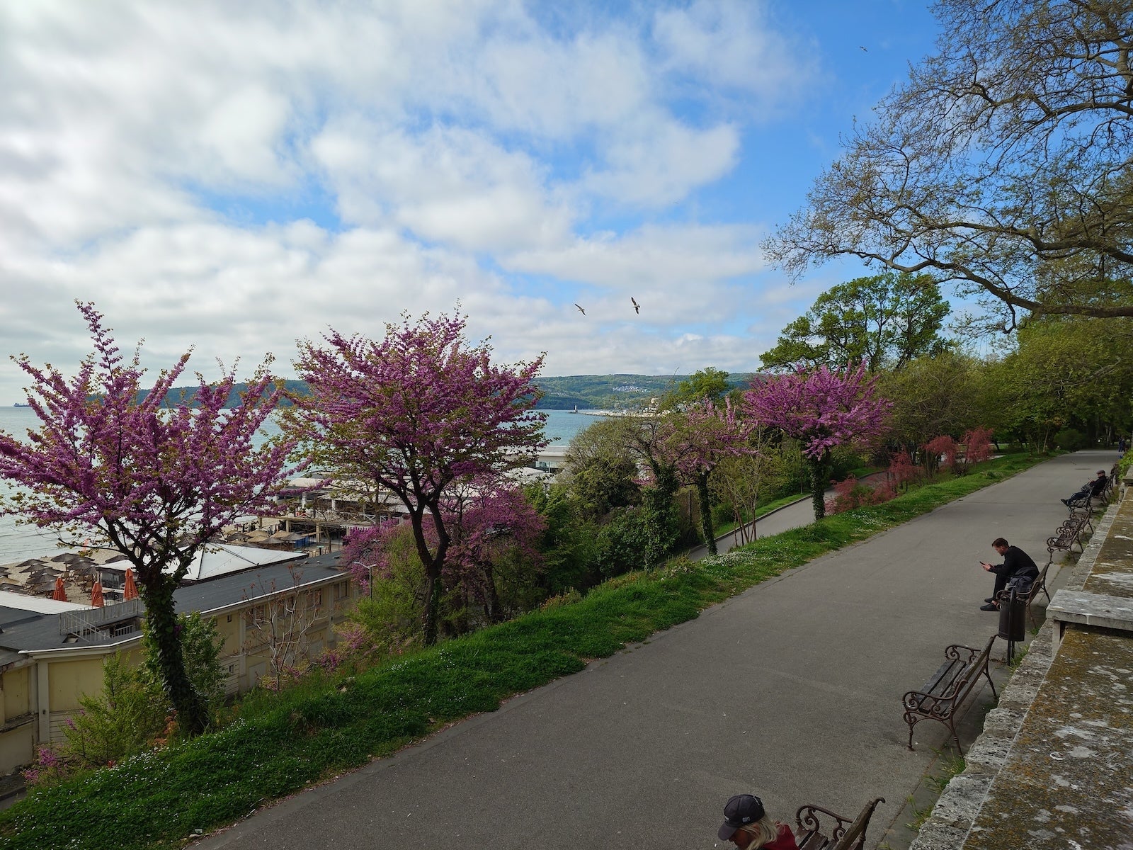 Xperia 1 VIII - Sony Xperia 1 VIII vs Galaxy S26 Ultra: Sample Photos Comparison
