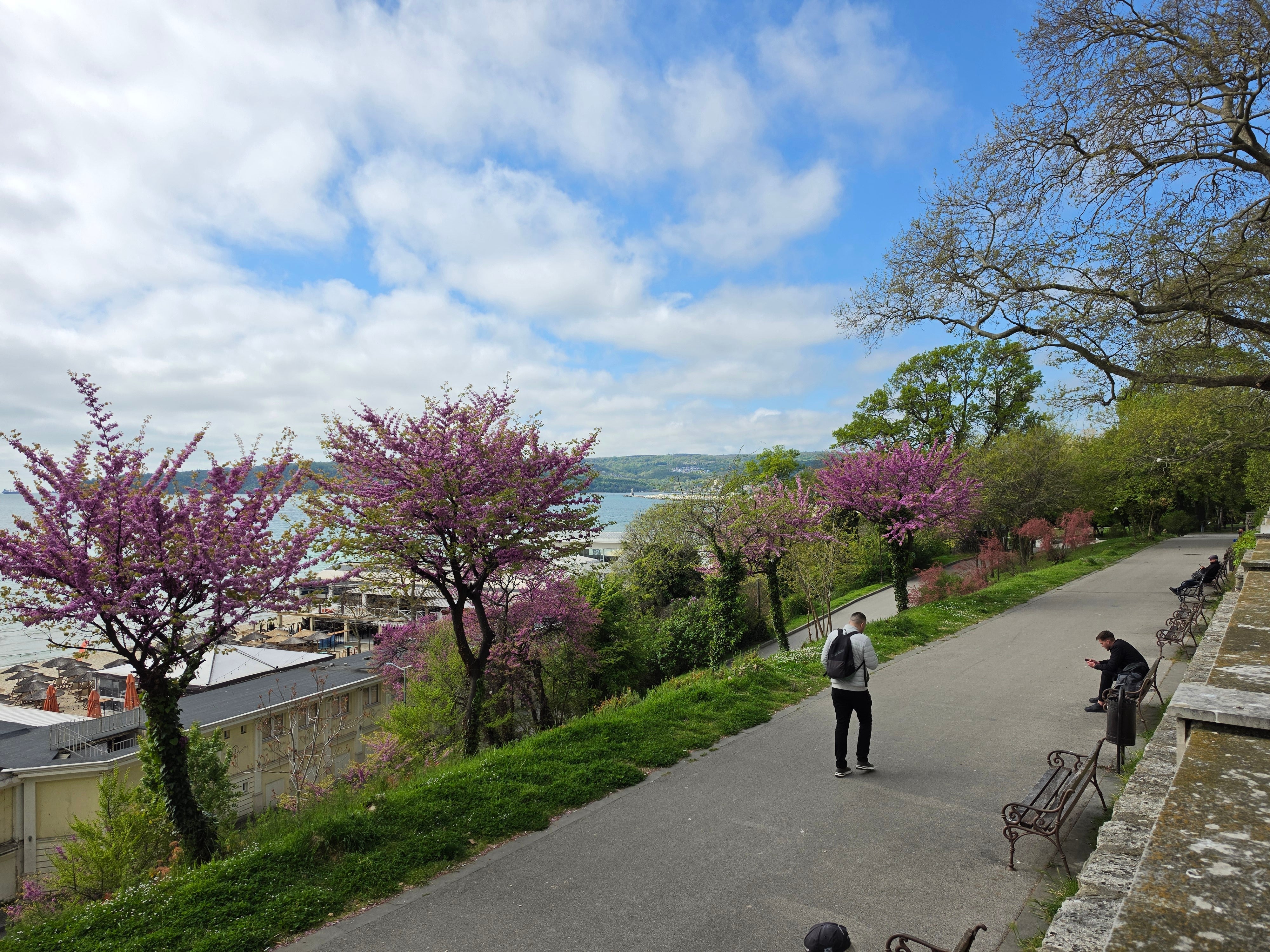 Galaxy S26 Ultra - Sony Xperia 1 VIII vs Galaxy S26 Ultra: Sample Photos Comparison