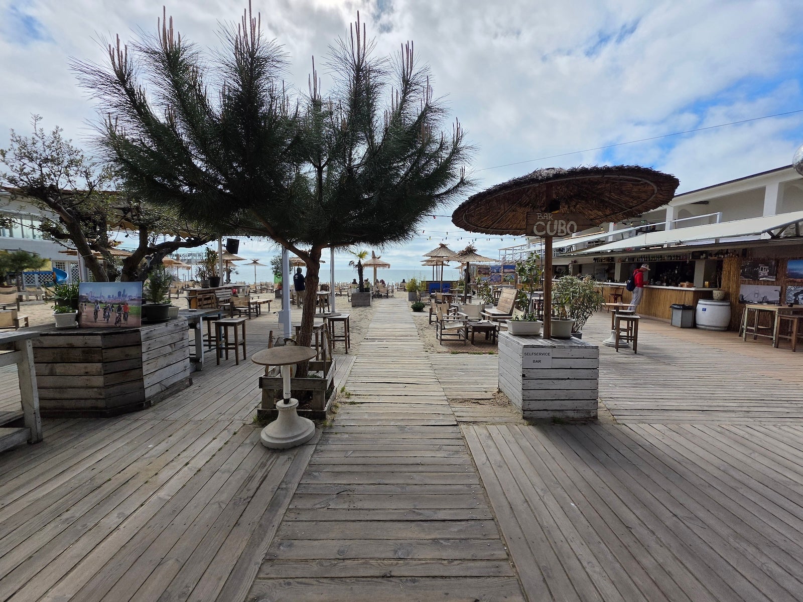 Galaxy S26 Ultra - Sony Xperia 1 VIII vs Galaxy S26 Ultra: Sample Photos Comparison