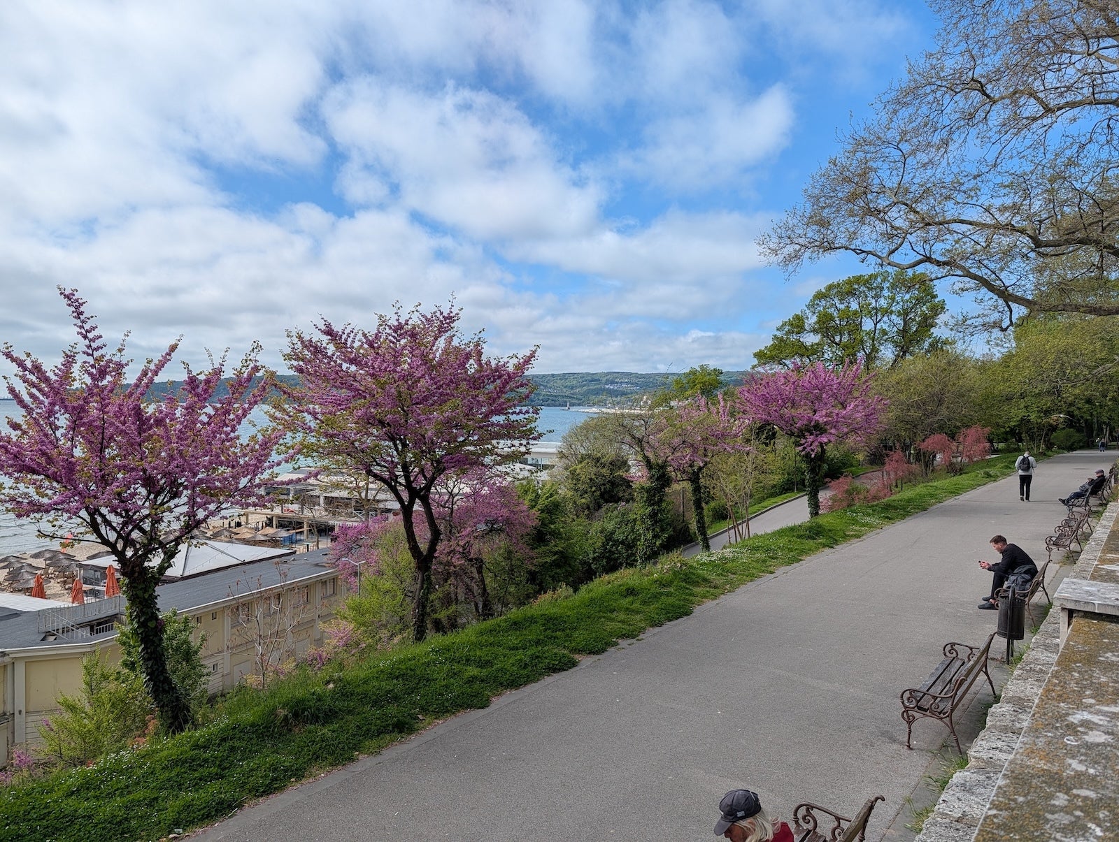 Pixel 10 Pro XL - Sony Xperia 1 VIII vs Pixel 10 Pro XL: Sample Photos Comparison