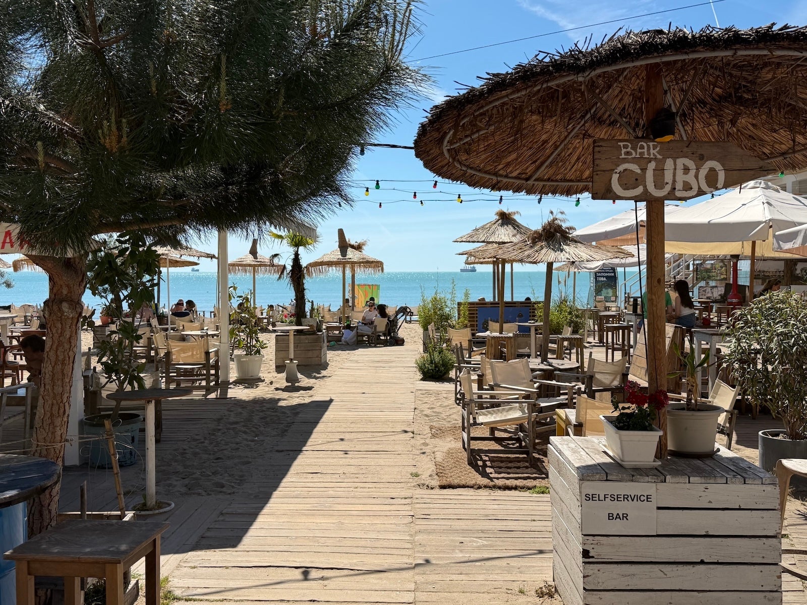 iPhone 17 Pro - Vivo X300 Ultra vs iPhone 17 Pro: Sample Photos Comparison