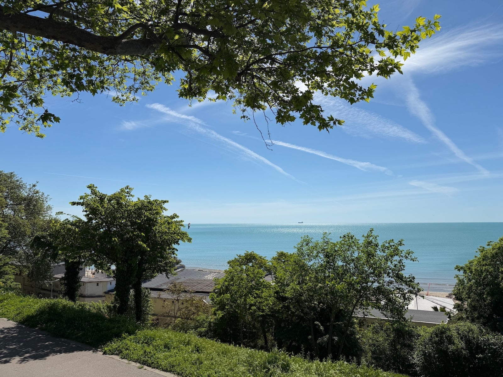 iPhone 17 Pro - Vivo X300 Ultra vs iPhone 17 Pro: Sample Photos Comparison
