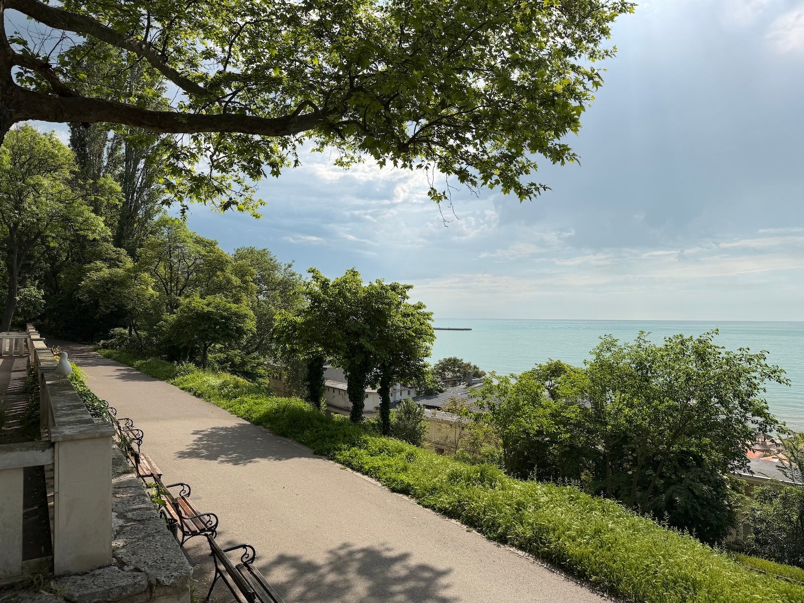 iPhone 17 Pro - The best phone camera you’ve never heard of vs iPhone 17 Pro: My real-world test