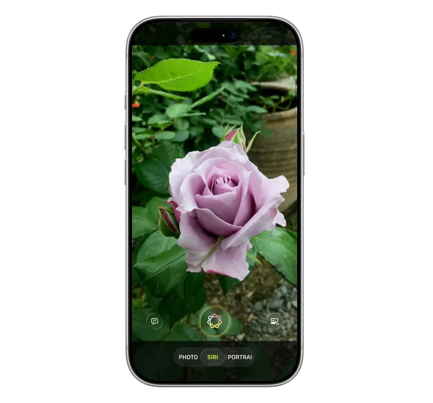 Siri in the Camera app brings some unexpected new features. | Image by Bloomberg - Apple Intelligence upgrades finally deliver on what Apple promised in 2024