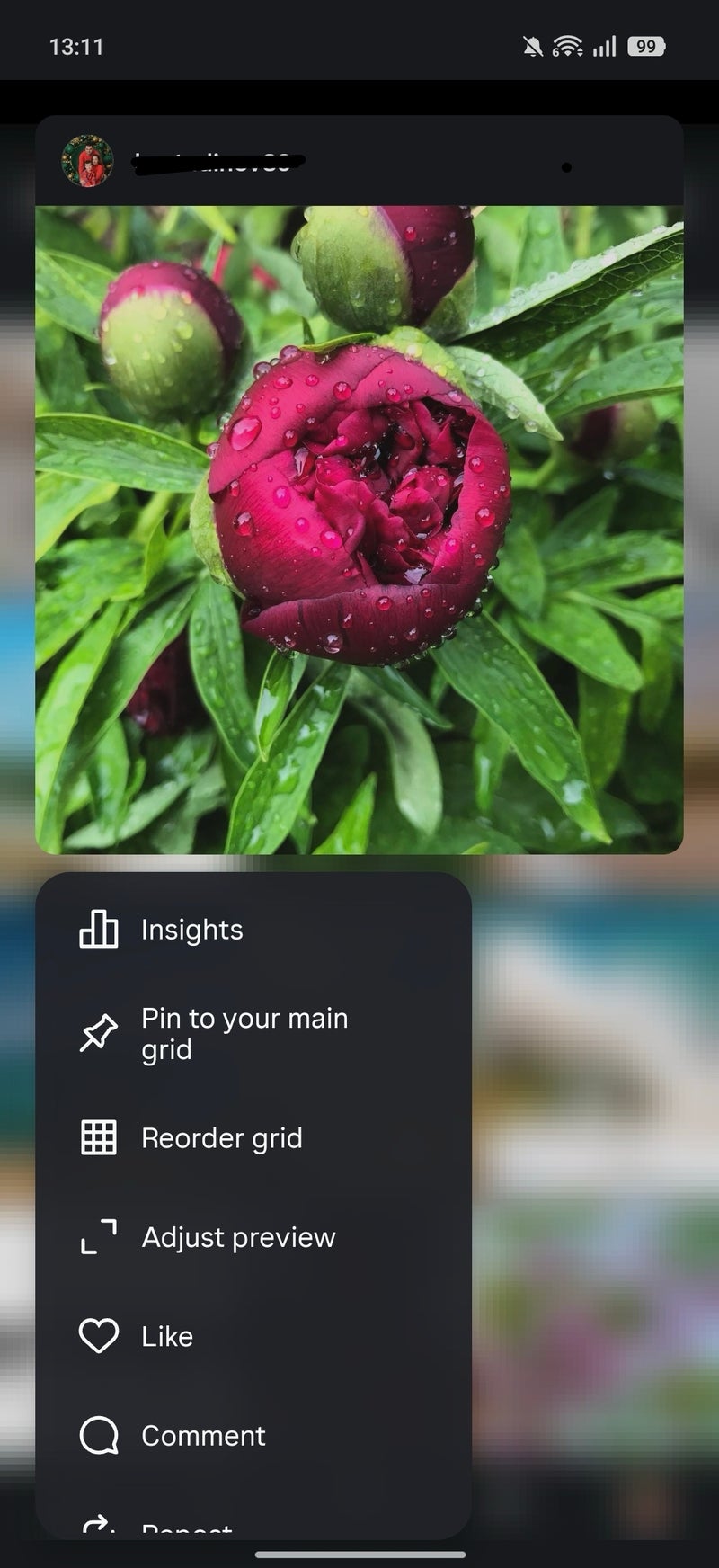Instagram just added the one feature users have been begging for