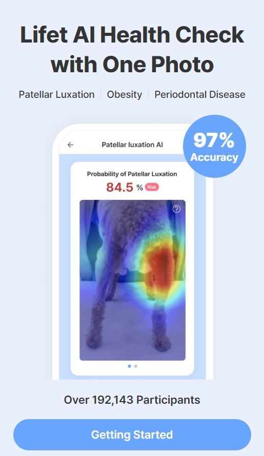 Galaxy phones can now tell if your dog is okay