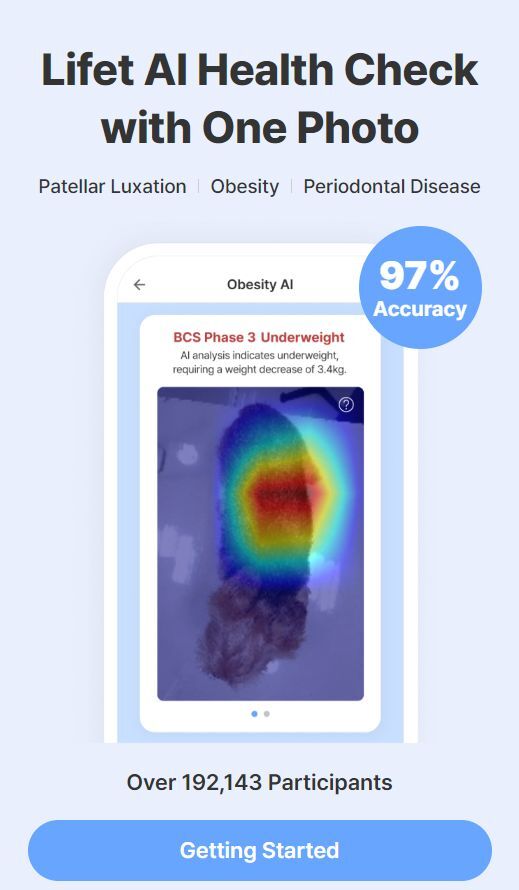 Galaxy phones can now tell if your dog is okay