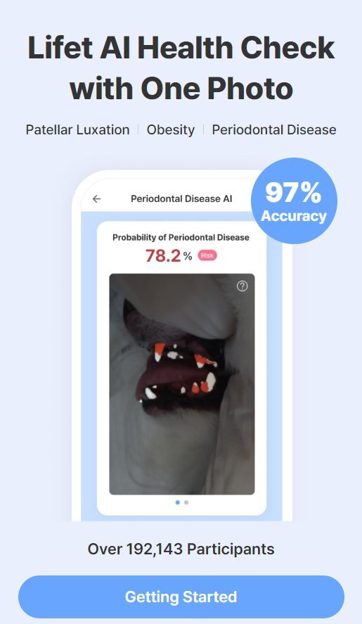 Galaxy phones can now tell if your dog is okay