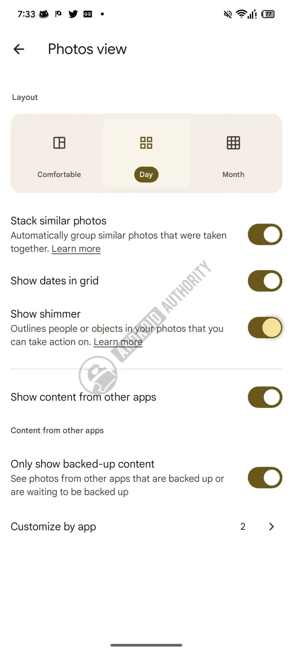 Google Photos settings showing a new Show shimmer toggle