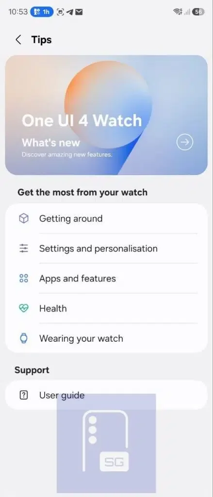 The new updates screens inside the Galaxy Wearable app.