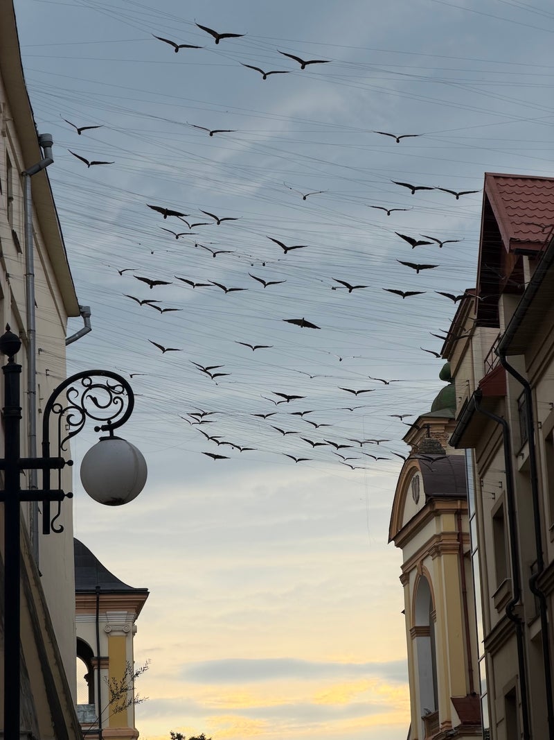 Photos from my travels