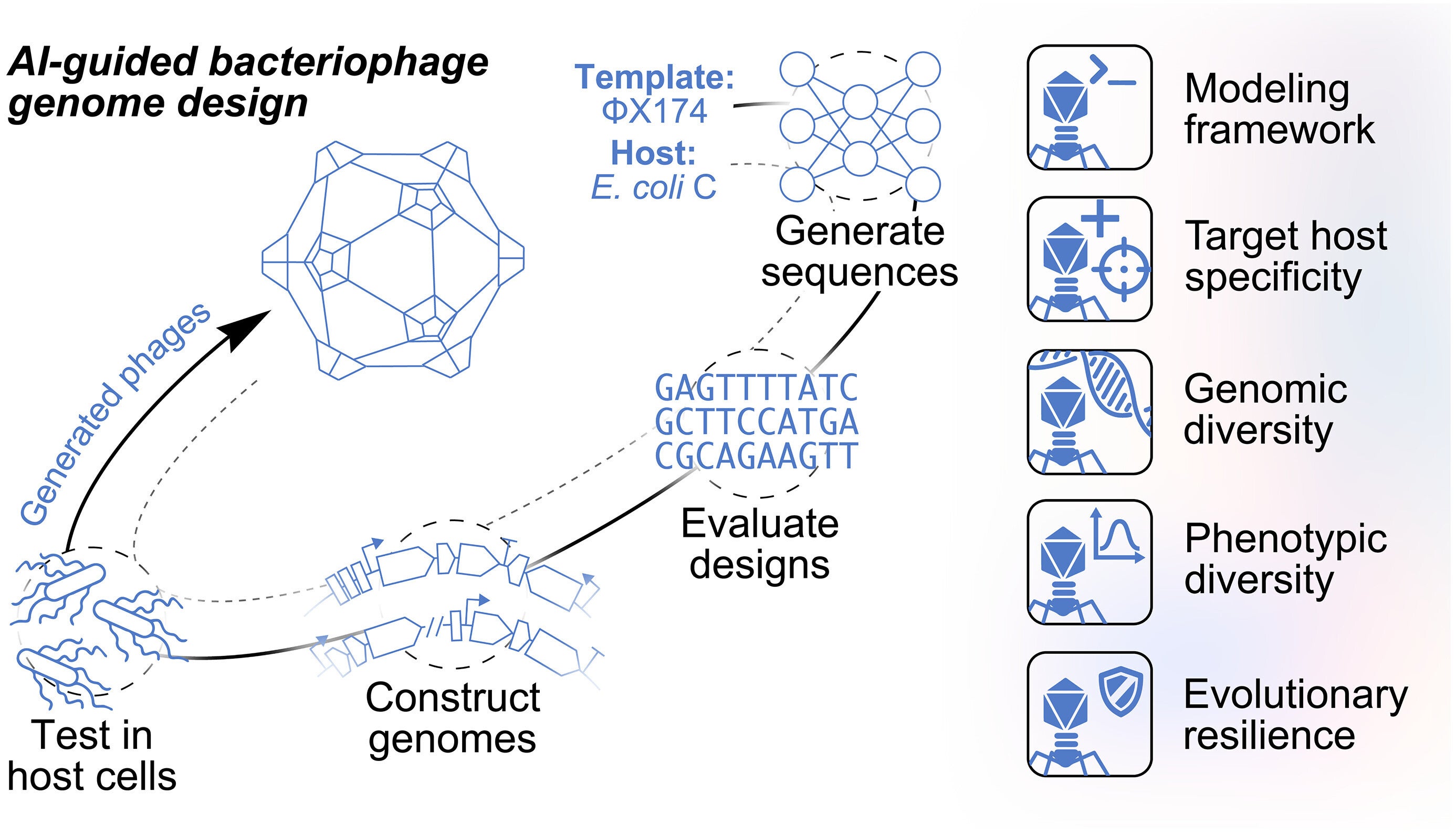The mechanism used by the researchers. | Image by Science Magazine - AI is making new viruses now, what could possibly go wrong?