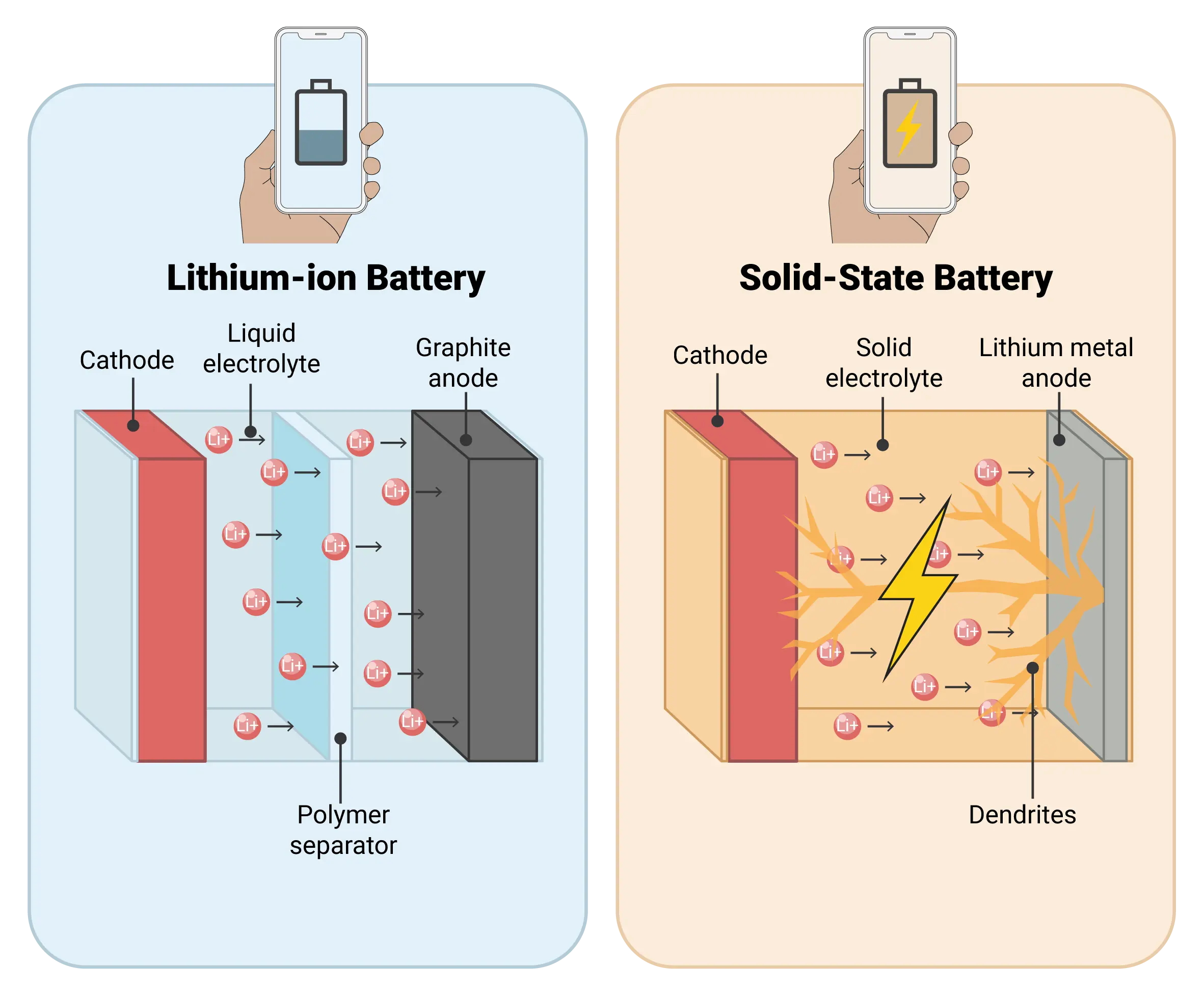 Dendrites can puncture the solid ceramic electrolyte and effectively kill the battery. | Image by Max Planck Institute - Smartphone solid-state batteries are almost here, now that scientists have cracked the code