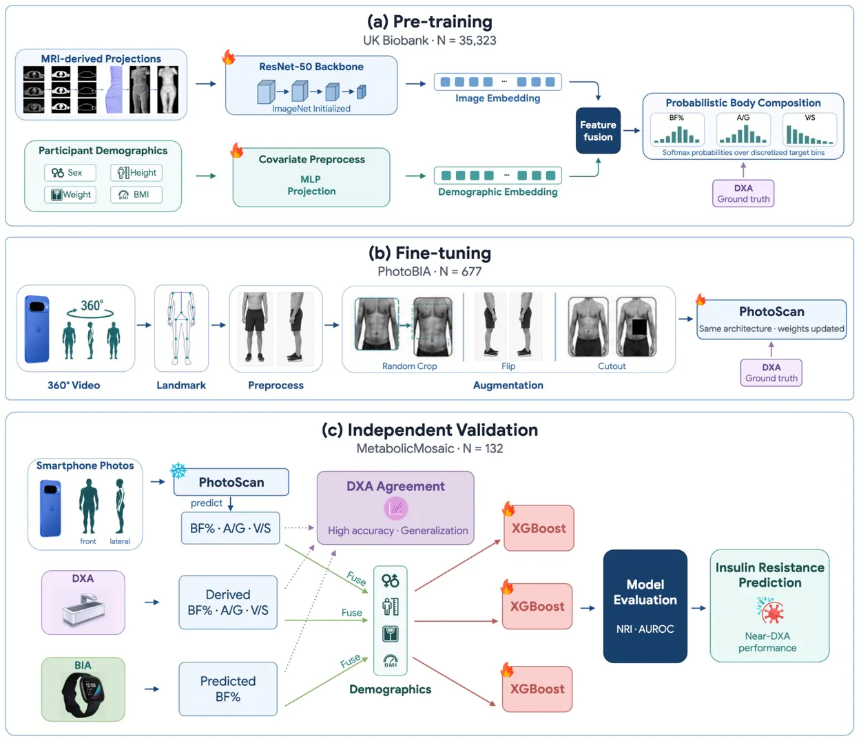 This looks complicated but once the AI has been trained, you only need to snap a few photos. | Image by Google - Google's latest AI breakthrough may turn your Pixel phone into a medical lab