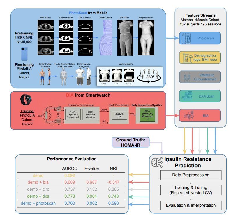 The system was also able to predict insulin resistance with high accuracy. | Image by Google - Google's latest AI breakthrough may turn your Pixel phone into a medical lab