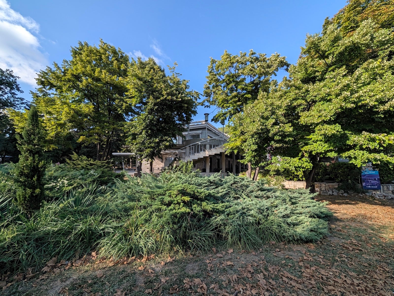 Pixel 11 Pro XL - | - Pixel 11 Pro XL vs Galaxy S26 Ultra: Sample Photos Comparison