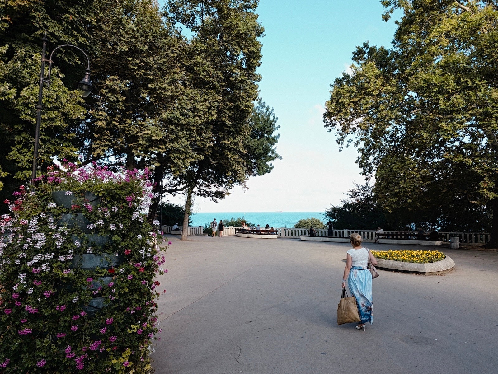 Editorial - | - I tried every Camera Look on the Pixel 11 Pro XL (and found my perfect setup)