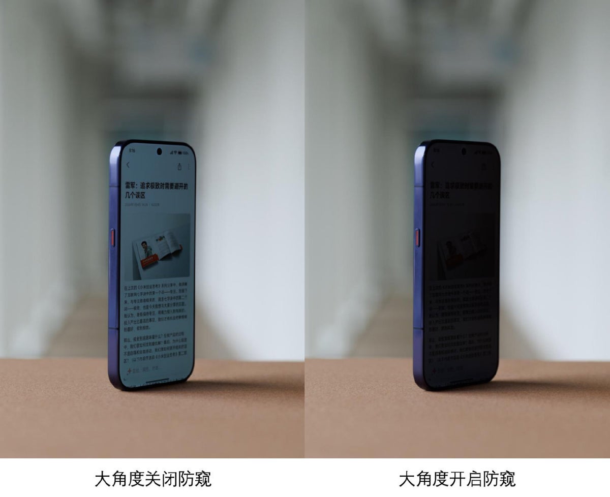 Privacy-Display-enabled..webp