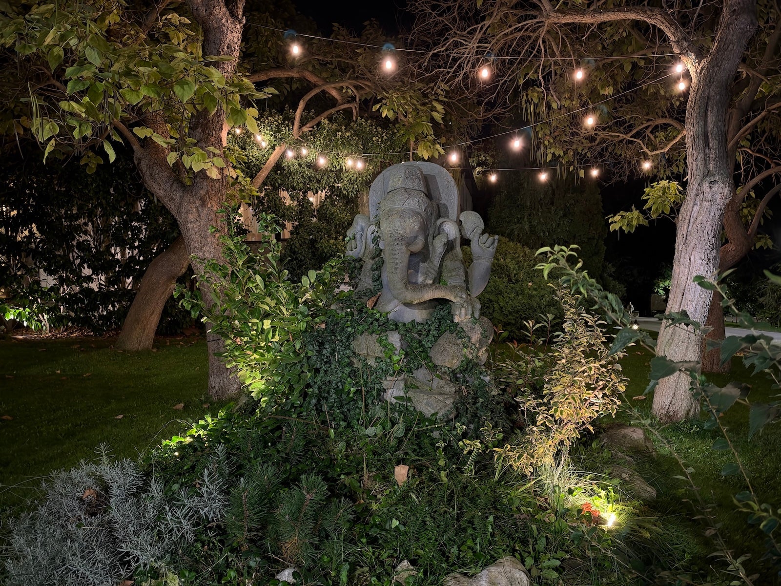 iPhone 18 Pro Max - | - iPhone 18 Pro Max vs Pixel 11 Pro XL: Sample Photos Comparison