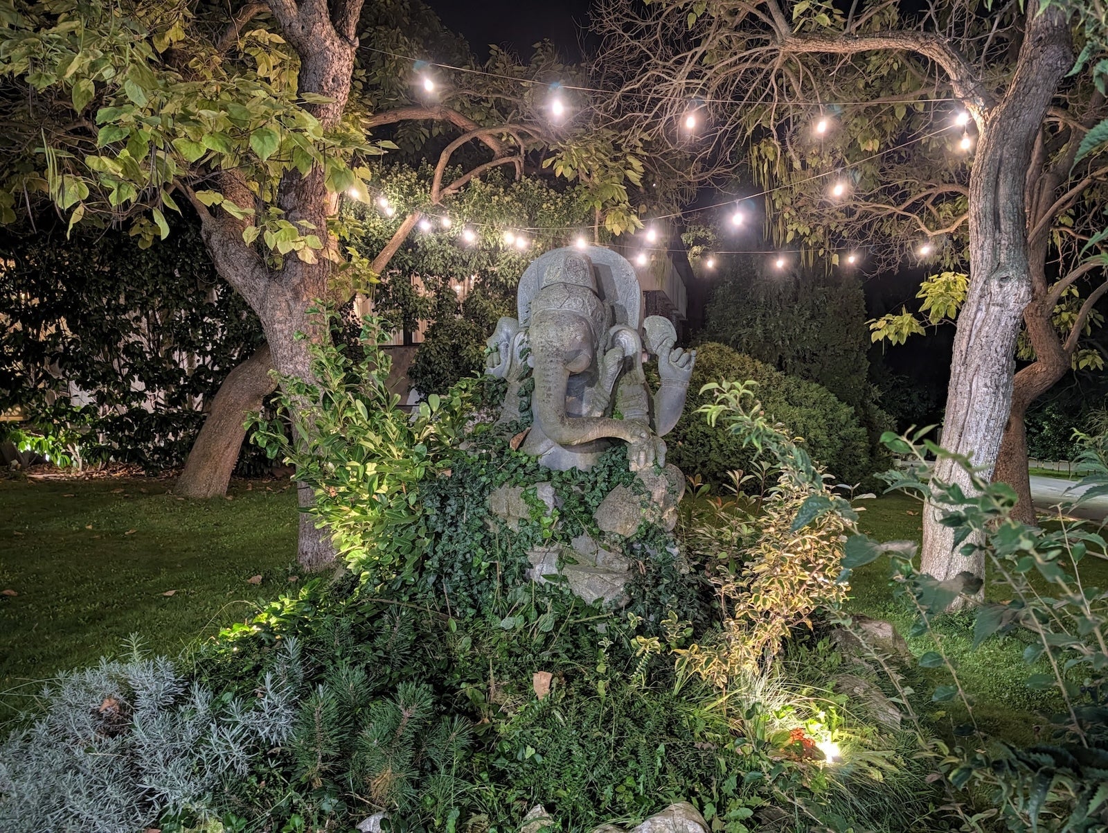 Pixel 11 Pro XL - | - iPhone 18 Pro Max vs Pixel 11 Pro XL: Sample Photos Comparison