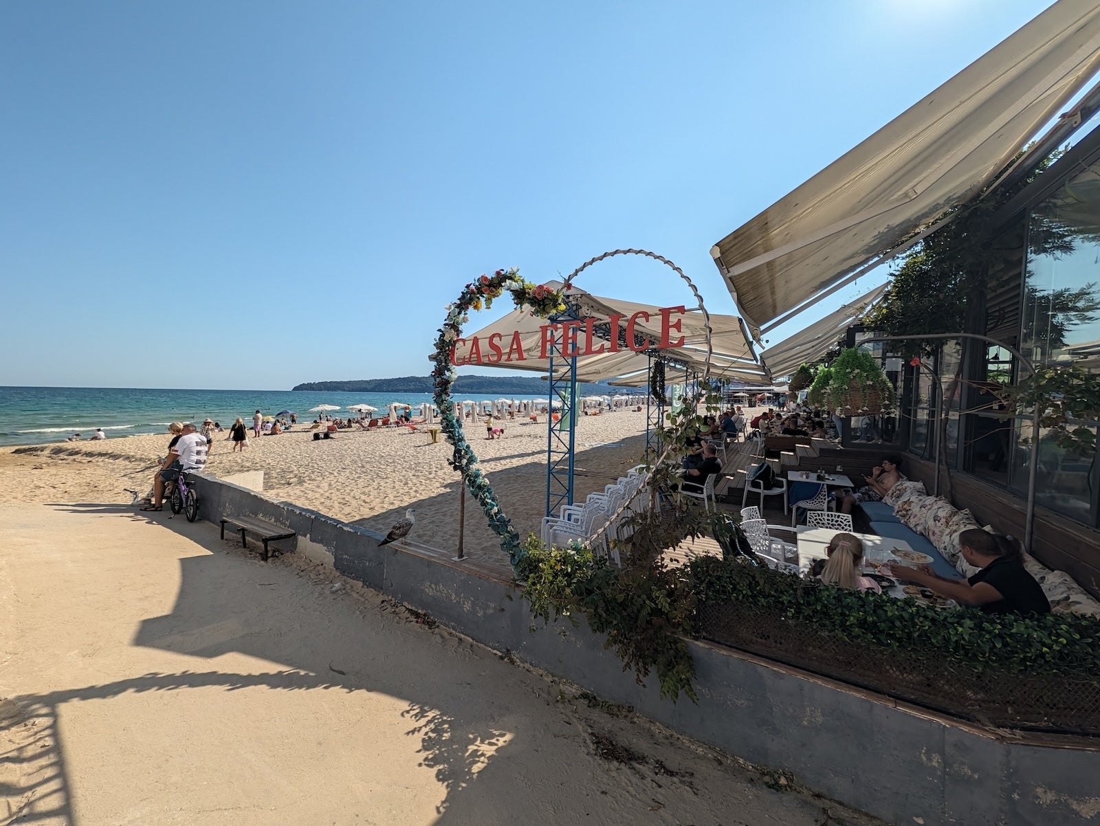 Pixel 11 Pro XL - | - iPhone 18 Pro Max vs Pixel 11 Pro XL: Sample Photos Comparison