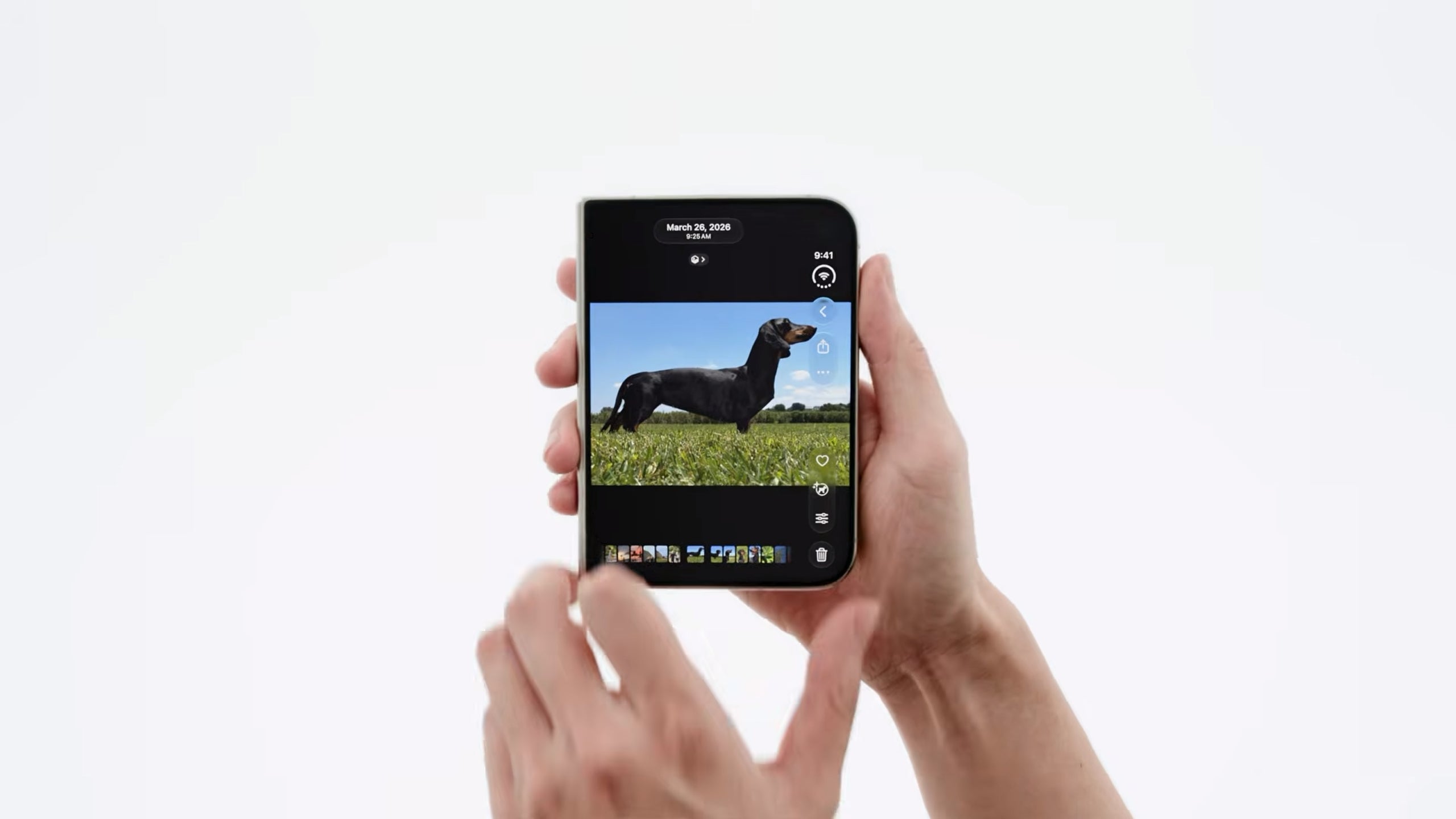The iPhone Duo is in. | Image by Apple - Tim Cook bailed out just in time to avoid to iPhone Duo quagmire